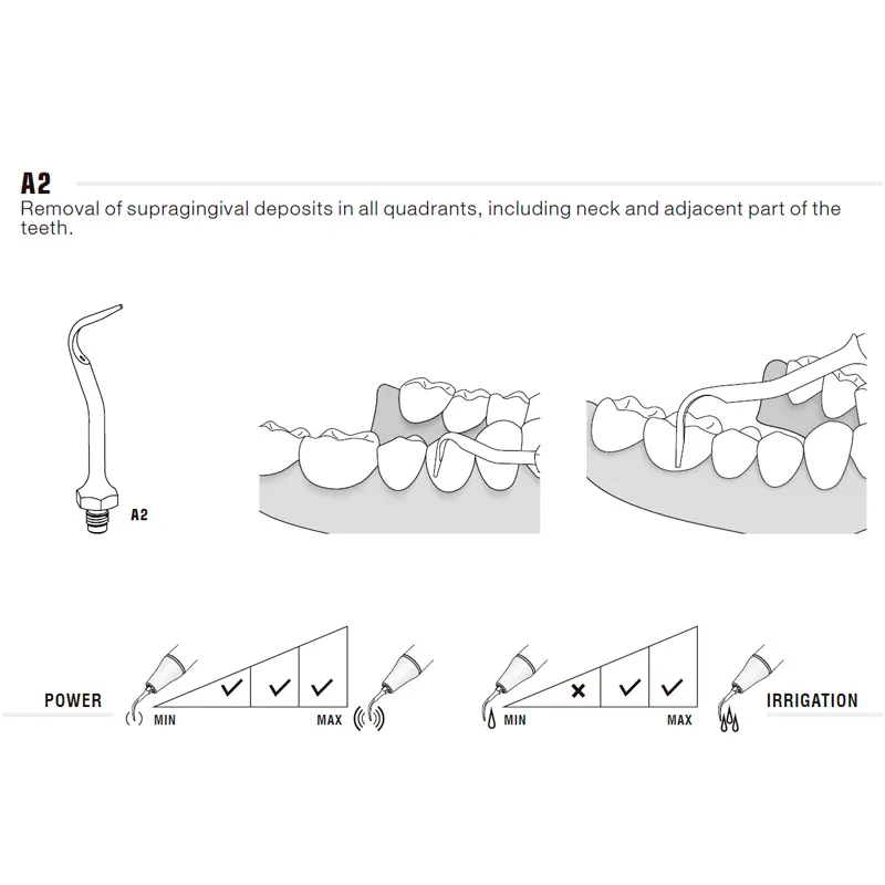 ESQUEMA-PUNTA-A2-AMDENT-COMPATIBLES-Woodpecker-28-A2.webp
