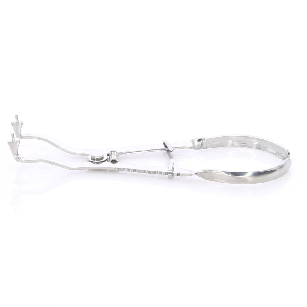 Porta Clamps Ivory Light Master: Sujeción precisa y ligera.