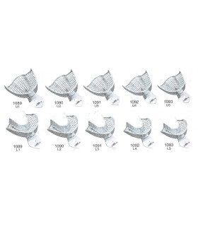 Cubetas dentales perforadas MASTER, caja de 10 unidades.