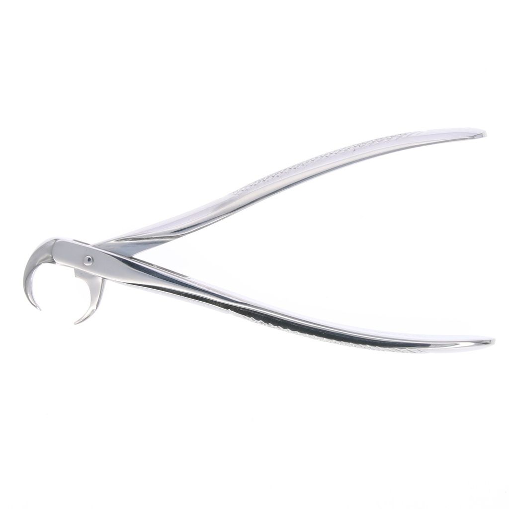 Fórceps Pico Loro MASTER para extracción de molares inferiores.
