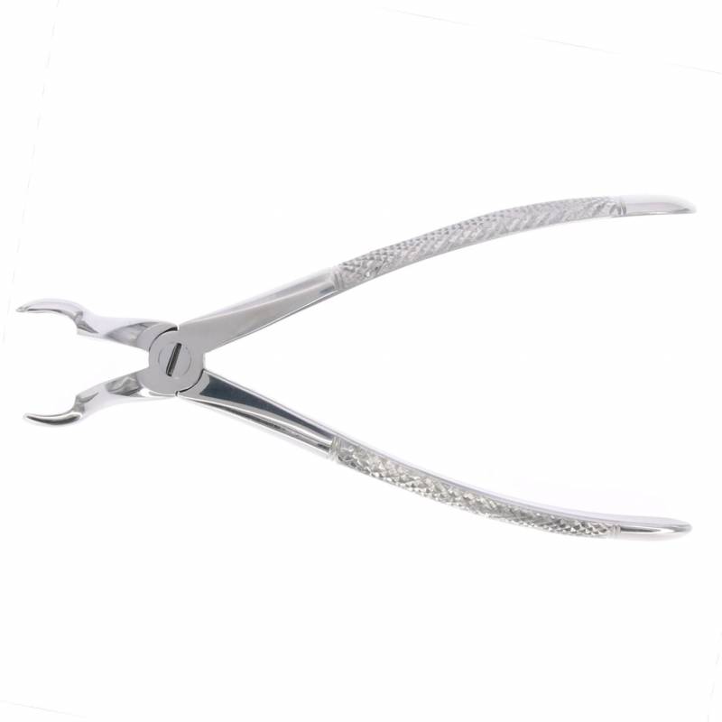 Fórceps cordales superiores 67R Der. Master. Extracción dental.
