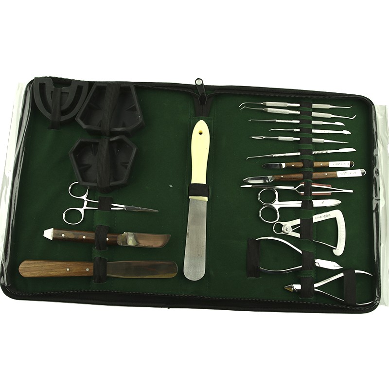 Kit dental MASTER: 20 instrumentos laboratorio estudiantes.