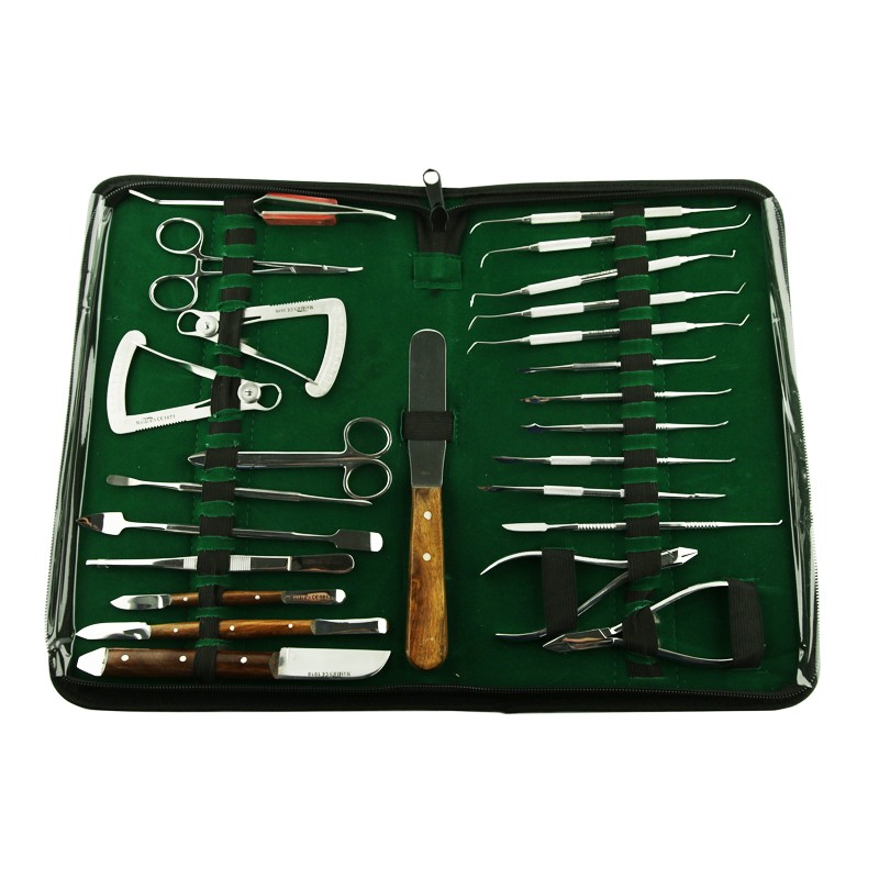 Kit dental Master 25 instrumentos laboratorio estudiantes.
