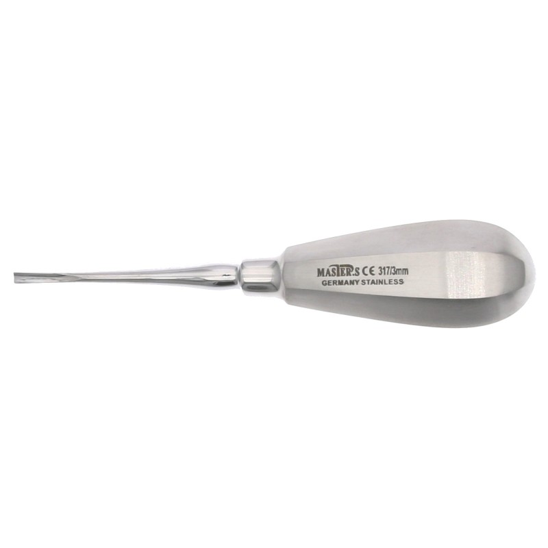 Botador recto Bein punta plana Master para extracciones dentales.