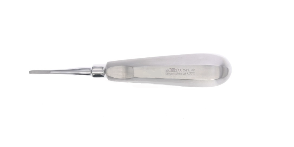Botador Recto Bein Punta Redondeada MASTER para extracciones dentales.