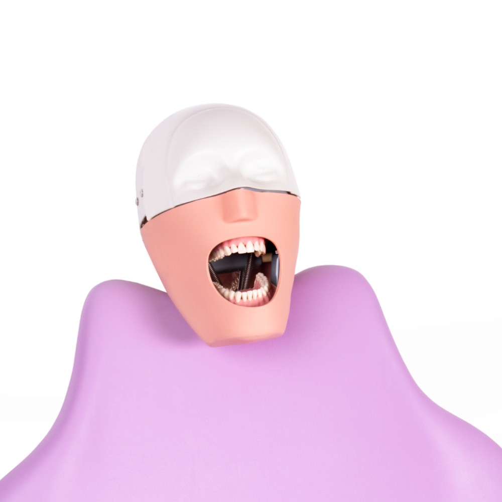 Fantoma Dental Completo con Anclaje a Sillón