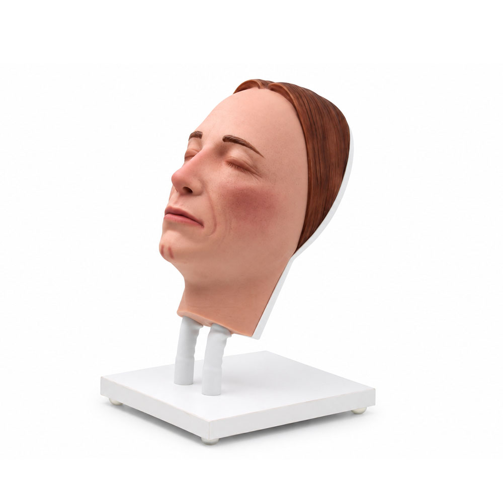 Modelo Facial para Prácticas de Inyección Estética