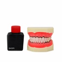 Cálculo Dental para Tipodonto de Periodoncia